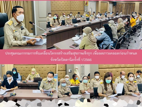 ประชุมคณะกรรมการขับเคลื่อนโครงสร้างเสริมสุขภาพเชิงรุก เพื่อลดภาวะคลอดก่อนกำหนด จังหวัดปัตตานี ครั้งที่ 1/2566